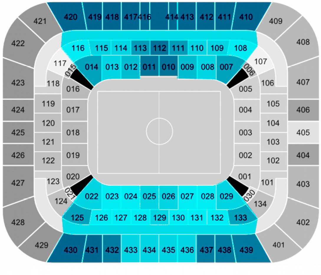 ‘Olympique Lyonnais – Strasbourg’ – Longside
