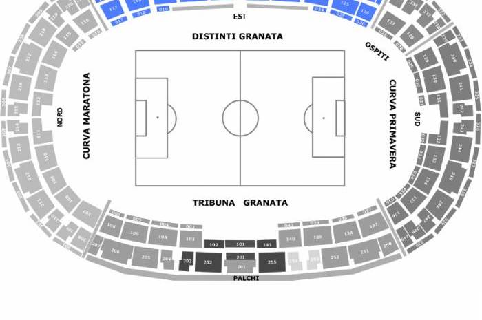 ‘Torino – Hellas Verona’ – Longside